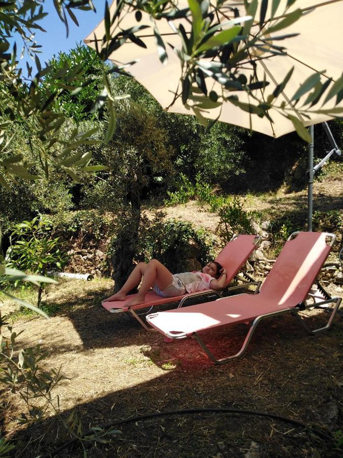 Ελαιώνας - Solar Energy House Villa Khorevtó Eksteriør bilde